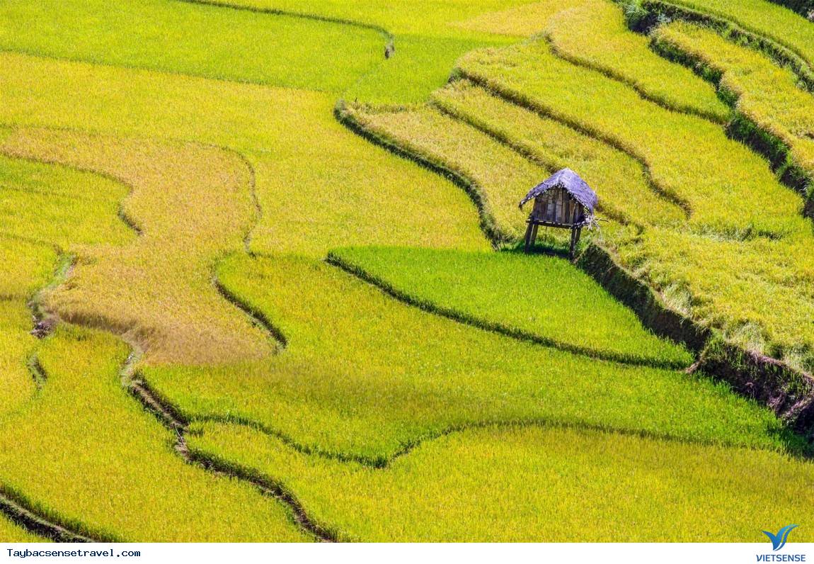 2. Mù Căng Chải - Ảnh 4