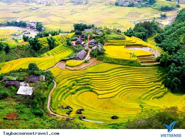 Các hoạt động hàng đầu ở Mù Cang Chải