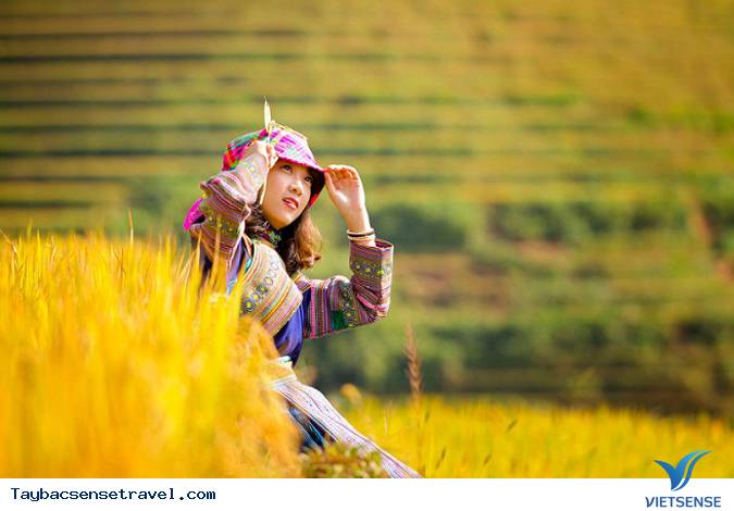 Sapa, Lao Cai – Thiên đường ruộng bậc thang đẹp kỳ vĩ. - Ảnh 1 Sapa, Lao Cai – Thiên đường ruộng bậc thang đẹp kỳ vĩ. - Ảnh 1