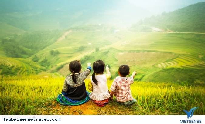 Hoàng Su Phì, Hà Giang – “Lúa vàng trên rẻo cao”. - Ảnh 2 Hoàng Su Phì, Hà Giang – “Lúa vàng trên rẻo cao”. - Ảnh 2