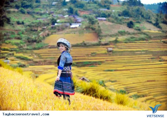 Mù Cang Chải – Ngắm nấc thang lên thiên đường mùa lúa chín. - Ảnh 3 Mù Cang Chải – Ngắm nấc thang lên thiên đường mùa lúa chín. - Ảnh 3