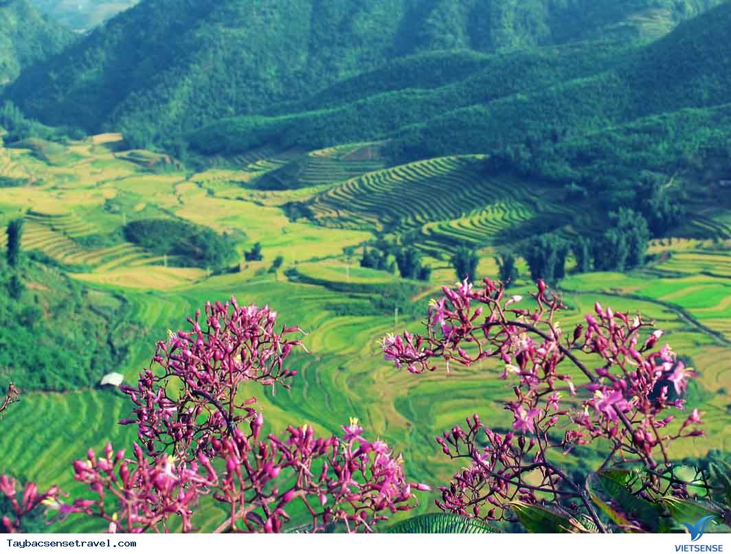 8 Tỉnh Vùng Tây Bắc Hợp Tác Phát Triển hành trình - Ảnh 1 8 Tỉnh Vùng Tây Bắc Hợp Tác Phát Triển hành trình - Ảnh 1