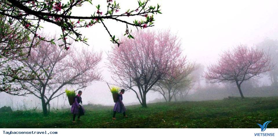 8 Tỉnh Vùng Tây Bắc Hợp Tác Phát Triển hành trình - Ảnh 3 8 Tỉnh Vùng Tây Bắc Hợp Tác Phát Triển hành trình - Ảnh 3