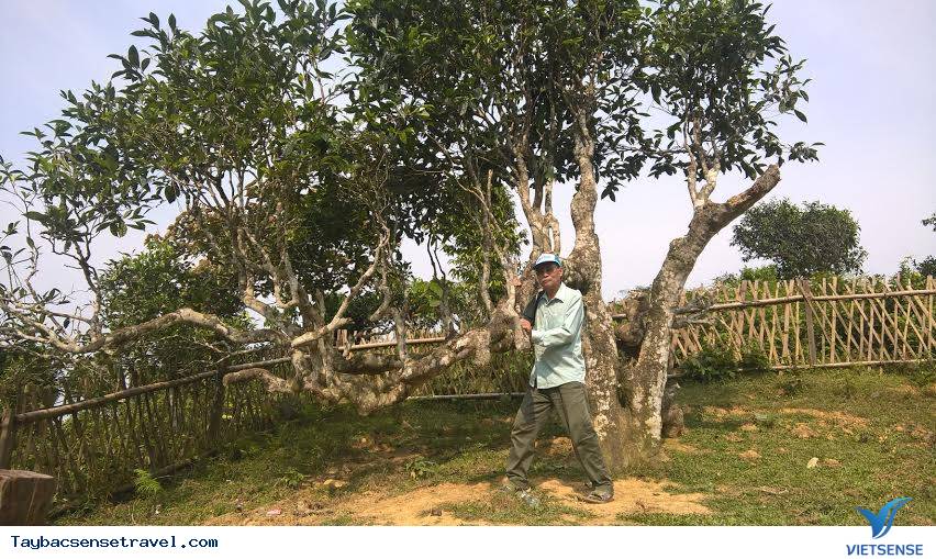 Anbum Ảnh Khách Hàng hành trình Tây Bắc 2015 Cùng VietsenseTravel - Ảnh 22 Anbum Ảnh Khách Hàng hành trình Tây Bắc 2015 Cùng VietsenseTravel - Ảnh 22