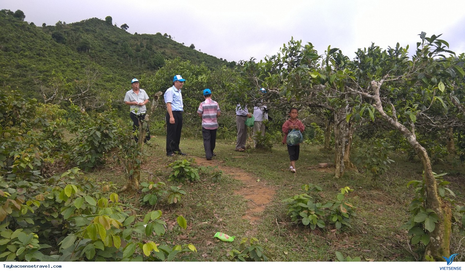 Anbum Ảnh Khách Hàng hành trình Tây Bắc 2015 Cùng VietsenseTravel - Ảnh 10 Anbum Ảnh Khách Hàng hành trình Tây Bắc 2015 Cùng VietsenseTravel - Ảnh 10