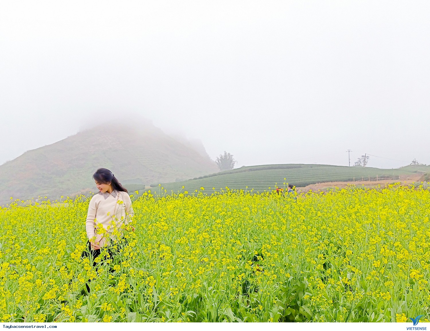 Ảnh Đoàn khách thăm quan Tây bắc 28-31/12 - Ảnh 8 Ảnh Đoàn khách thăm quan Tây bắc 28-31/12 - Ảnh 8