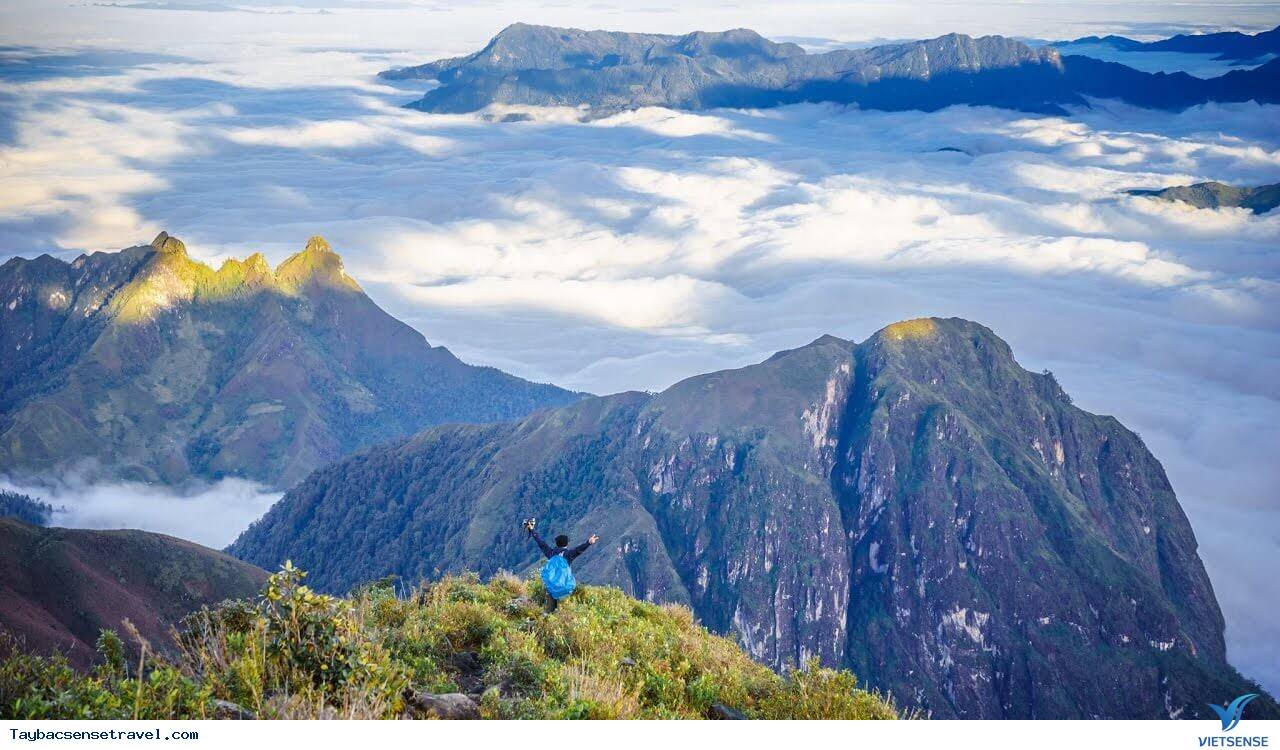 Bạch Mộc Lương Tử