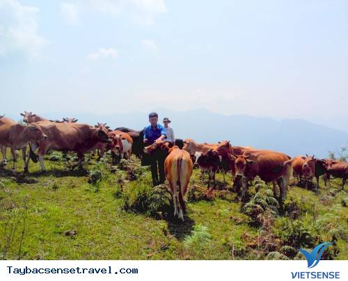 Bản Pú Đao - Ảnh 1 Bản Pú Đao - Ảnh 1