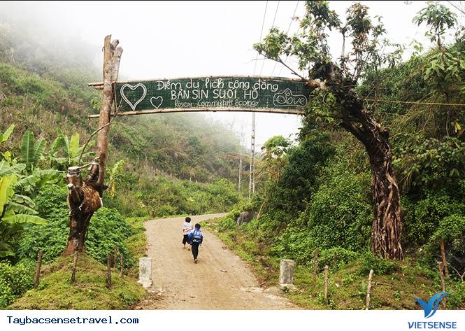 Bản Sin Suối Hồ có gì ? Bản Sin Suối Hồ có gì ?