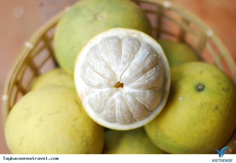 Bưởi Đoan Hùng Bưởi Đoan Hùng