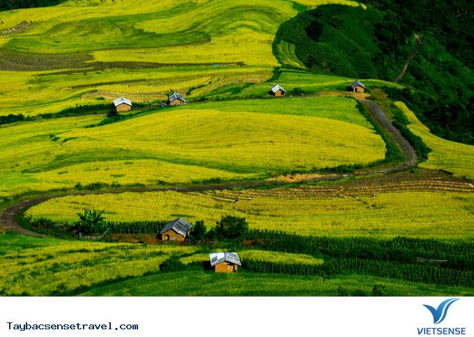 Sa Pa, Lào Cai - Ảnh 3