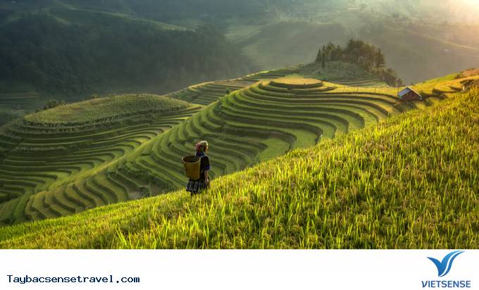 Sa Pa, Lào Cai - Ảnh 5