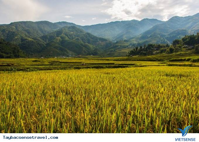 Sa Pa, Lào Cai - Ảnh 1
