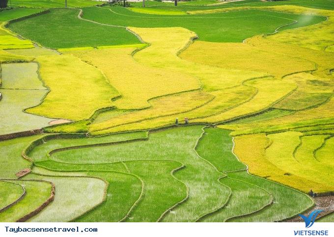 Sa Pa, Lào Cai - Ảnh 4