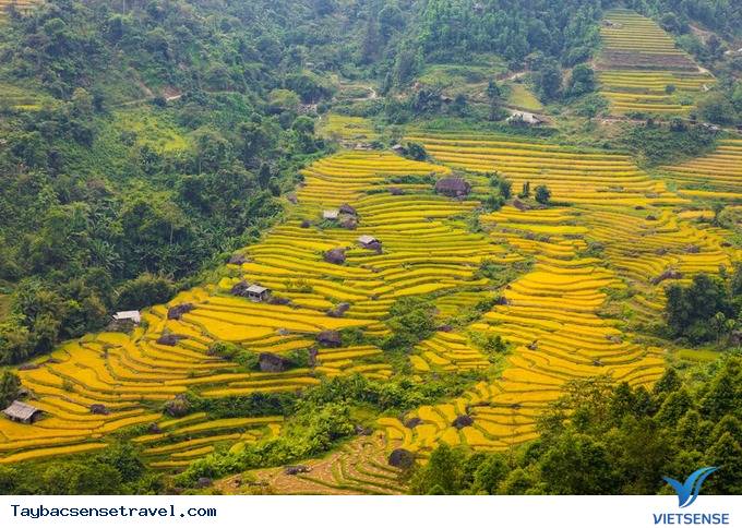 Sa Pa, Lào Cai - Ảnh 6