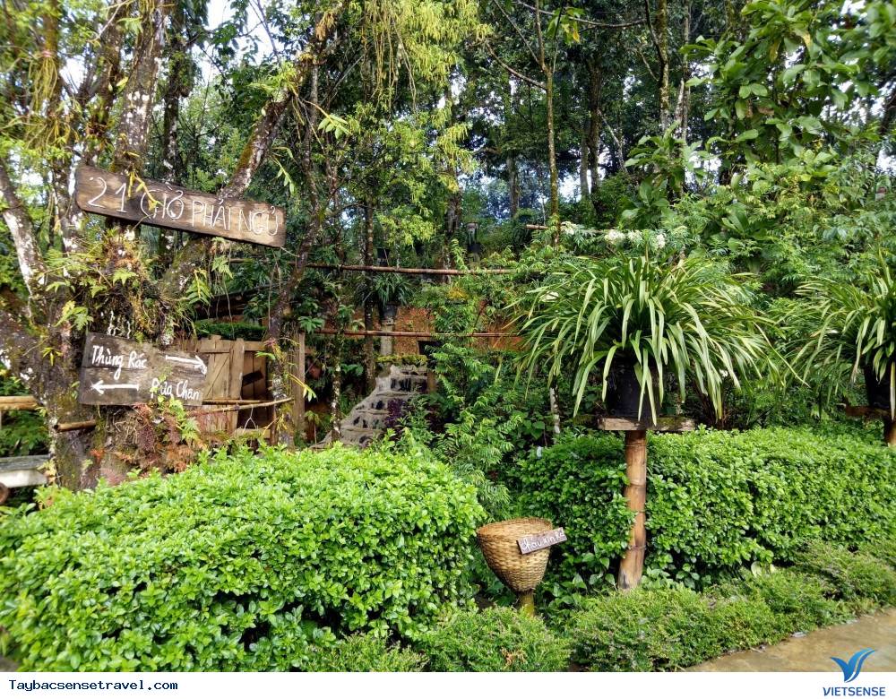 Chợ phiên Sin Suối Hồ nét đặc trưng, độc đáo Chợ phiên Sin Suối Hồ nét đặc trưng, độc đáo