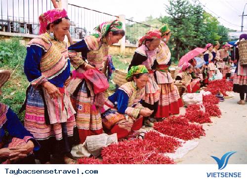 Chợ Trâu Lớn Nhất Tây Bắc - Ảnh 3