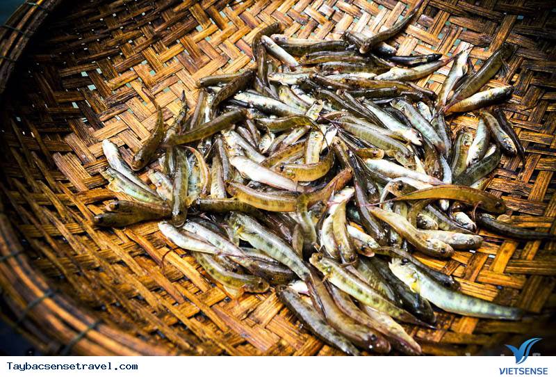 Đặc Sản Cá Bống Vùi Tro Ở Lai Châu - Ảnh 1 Đặc Sản Cá Bống Vùi Tro Ở Lai Châu - Ảnh 1