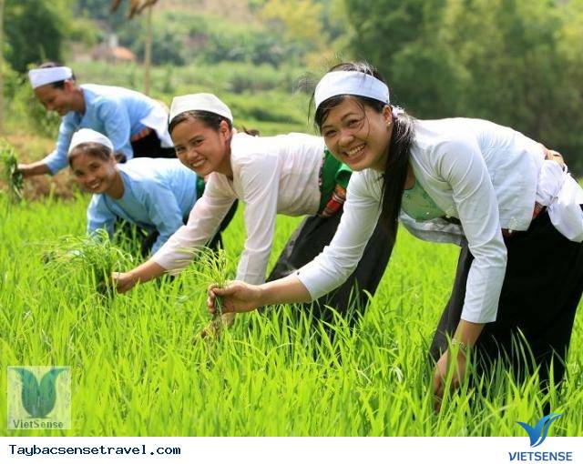 Dân tộc người Mường