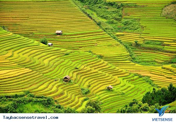 Con đường đi đến đèo Khau Phạ, Yên Bái Con đường đi đến đèo Khau Phạ, Yên Bái