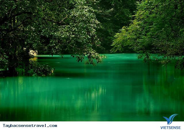 Di Tích Lịch Sử Pác Bó - Ảnh 2 Di Tích Lịch Sử Pác Bó - Ảnh 2