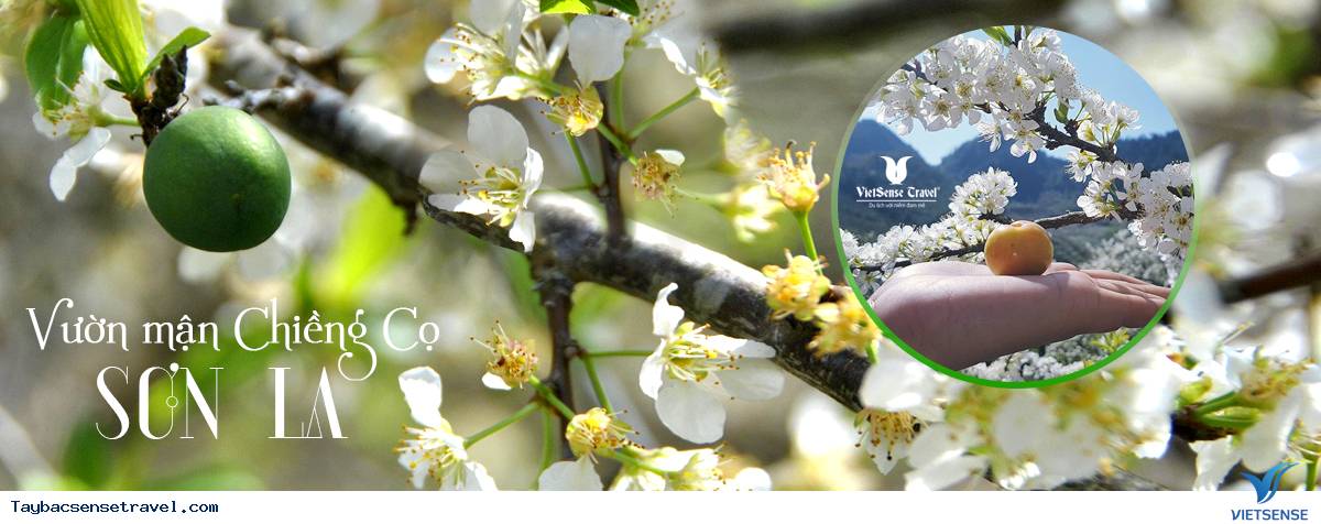 Điện Biên - Đồi Chè Mộc Châu - Hà Nội Điện Biên - Đồi Chè Mộc Châu - Hà Nội