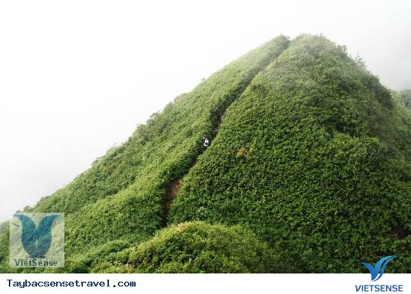 du lịch tây bắc