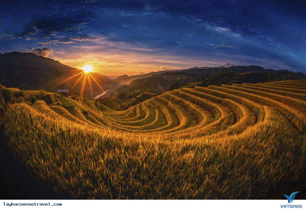 Thuốc men - Ảnh 1