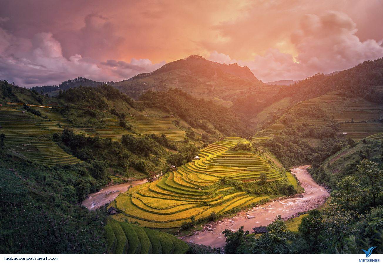 Thuốc men - Ảnh 2