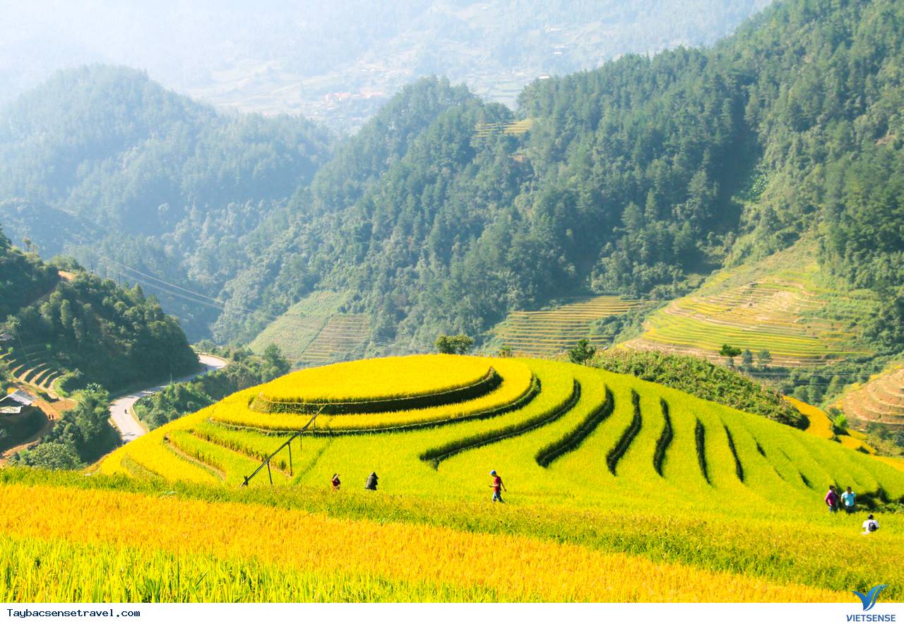 Đoàn Khách chương trình Mù Cang Chải Ngày 5-7/10 - Ảnh 2