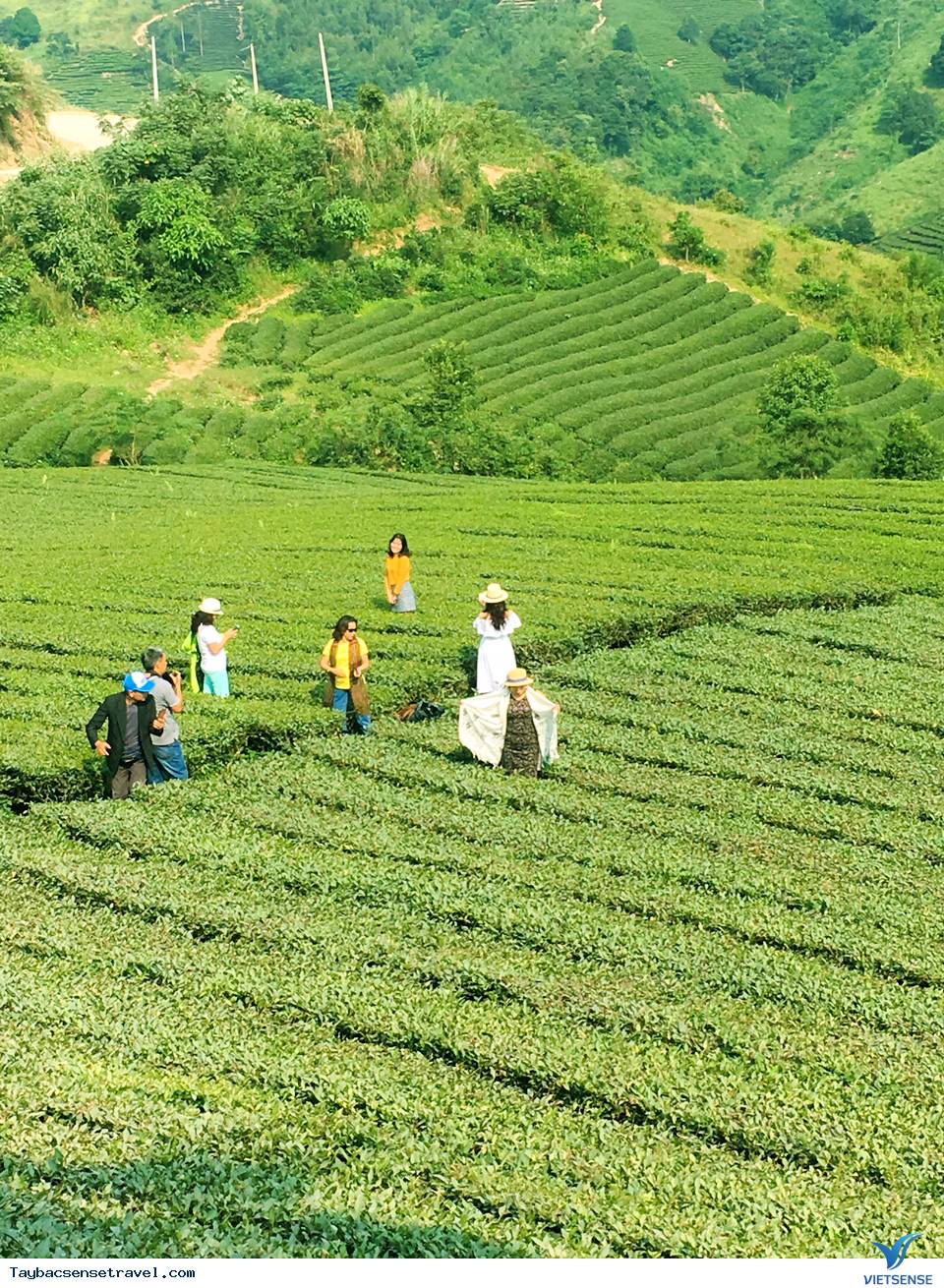 Đoàn Khách chương trình Mù Cang Chải Ngày 5-7/10 - Ảnh 7