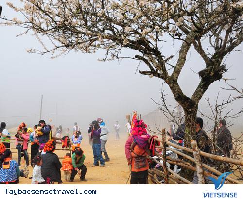 Độc Đáo Ngày Tết Các Dân Tộc Vùng Cao - Ảnh 3