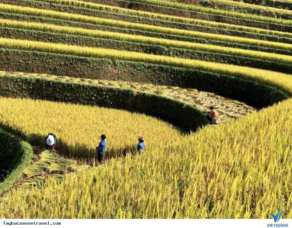 Đồi Móng Ngựa ở Mù Cang Chải: chụp ảnh đẹp chưa bao giờ dễ dàng đến thế! - Ảnh 2 Đồi Móng Ngựa ở Mù Cang Chải: chụp ảnh đẹp chưa bao giờ dễ dàng đến thế! - Ảnh 2