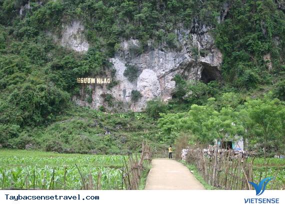 Động Ngườm Ngao - Ảnh 1 Động Ngườm Ngao - Ảnh 1