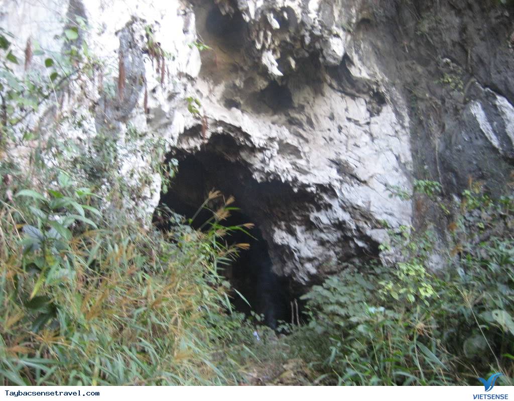 Động Pa Thơm ở đâu Việt Nam? Động Pa Thơm ở đâu Việt Nam?