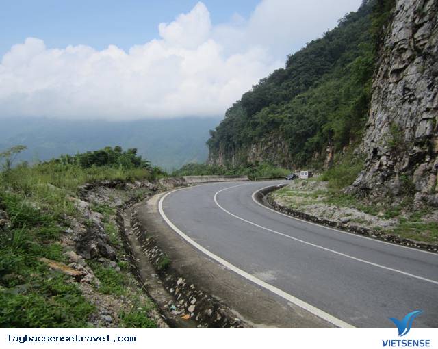 Động Sơn Mộc Hương- Hang Dơi - Ảnh 2