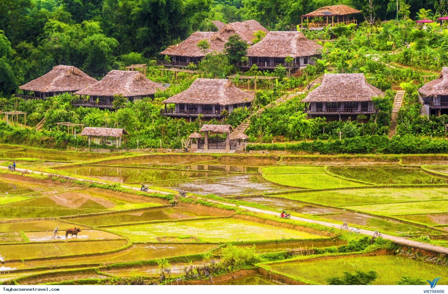 Du lịch Mai Châu - Ảnh 3 Du lịch Mai Châu - Ảnh 3