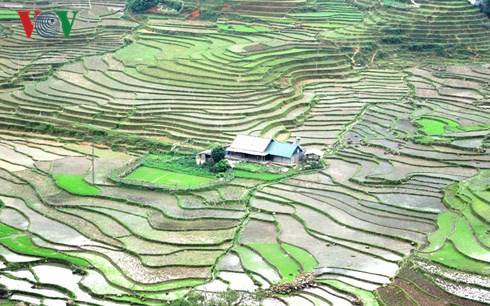 hành trình Tây Bắc Mùa Nước Đổ - Đi Những Đâu - Ảnh 1 hành trình Tây Bắc Mùa Nước Đổ - Đi Những Đâu - Ảnh 1