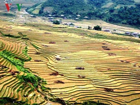 hành trình Tây Bắc Mùa Nước Đổ - Đi Những Đâu - Ảnh 3 hành trình Tây Bắc Mùa Nước Đổ - Đi Những Đâu - Ảnh 3