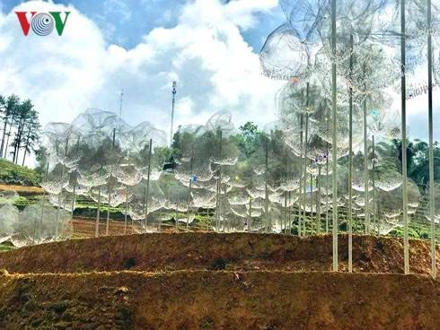 hành trình Tây Bắc Mùa Nước Đổ - Đi Những Đâu - Ảnh 7 hành trình Tây Bắc Mùa Nước Đổ - Đi Những Đâu - Ảnh 7