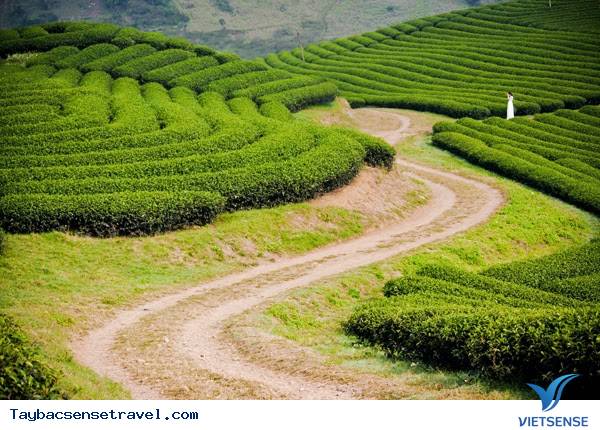 hành trình Tây Bắc Và Những Điểm Đến Không Nên Bỏ Qua - Ảnh 2 hành trình Tây Bắc Và Những Điểm Đến Không Nên Bỏ Qua - Ảnh 2