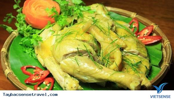 Gà đồi Gà đồi