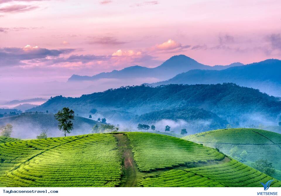Ghé thăm một khu chợ địa phương