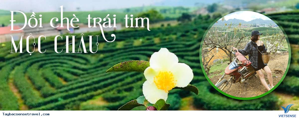 Hà Nội - Mộc Châu - Vườn Mận Bản Hôm Chiềng Hắc - Sơn La Hà Nội - Mộc Châu - Vườn Mận Bản Hôm Chiềng Hắc - Sơn La