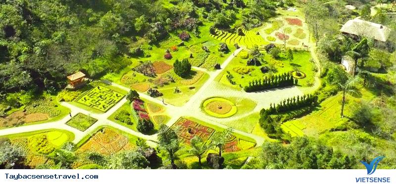 Hàm Rồng Sapa Hàm Rồng Sapa