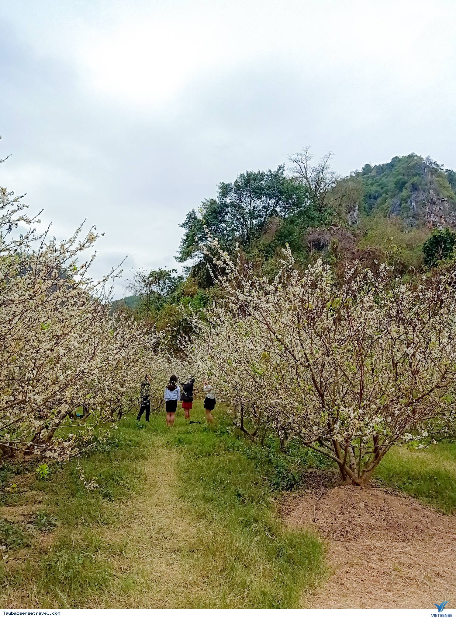 Hình Ảnh Đoàn chương trình Tây Bắc Tết - Ảnh 10