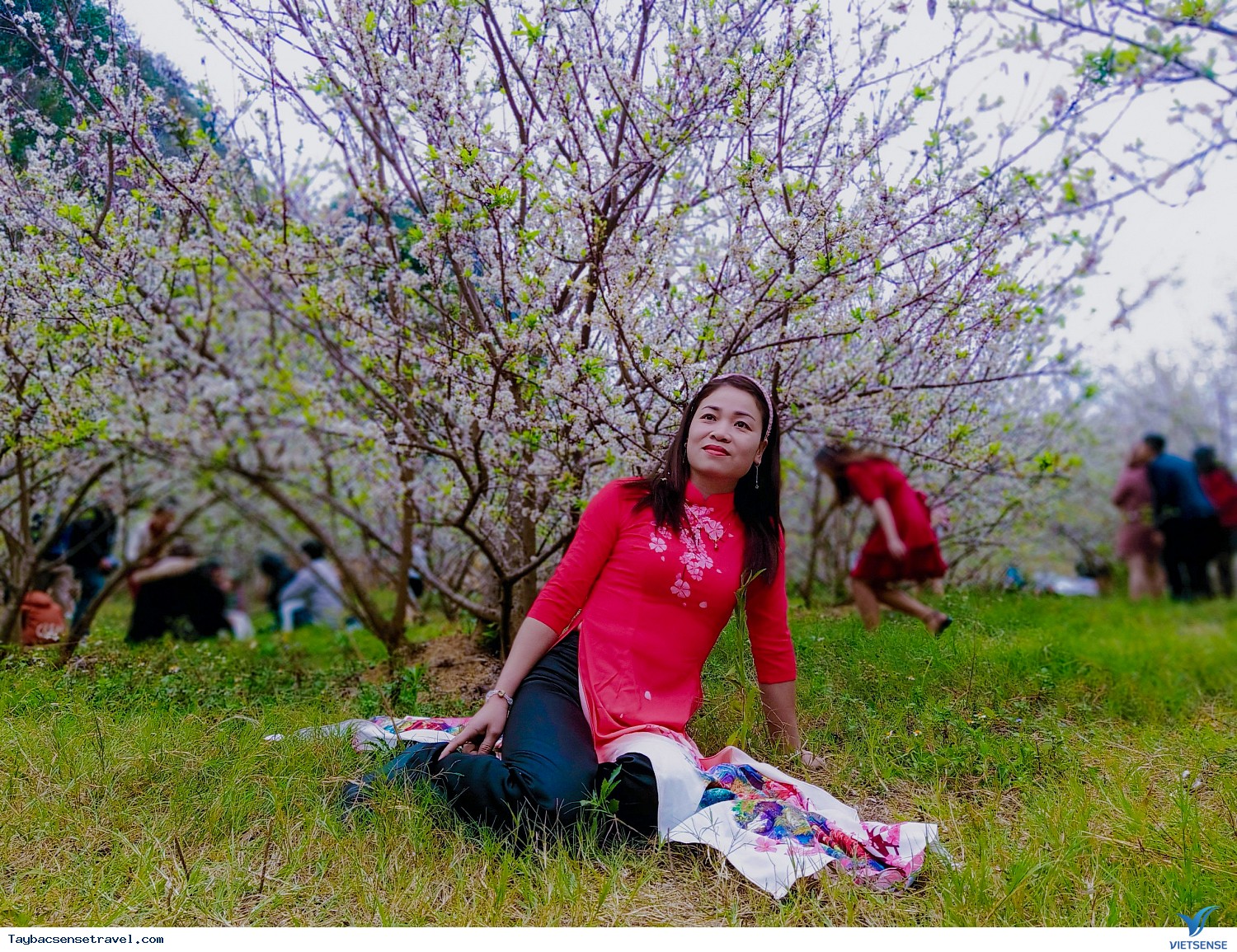 Hình Ảnh Đoàn chương trình Tây Bắc Tết - Ảnh 7