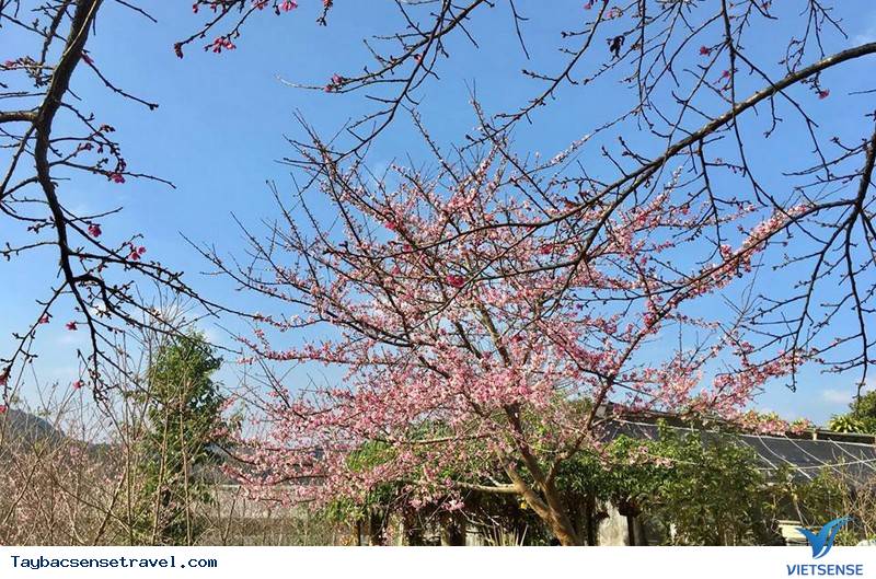 Hồ Pà Khoáng Điện Biên - Ảnh 4