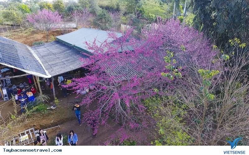 Hồ Pà Khoáng Điện Biên - Ảnh 3