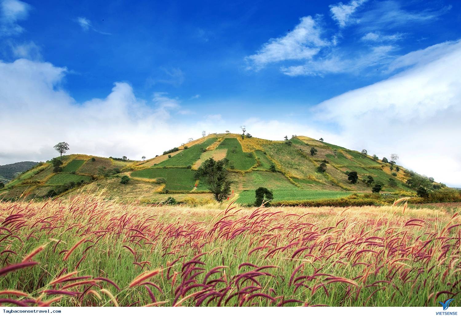 Hồ Thác Bà - Ảnh 4